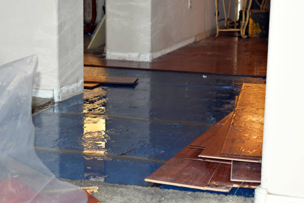 Professional Burst Pipe Cleanup technician working in Albion, RI